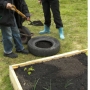 Planting potatoes in old car tyres_
