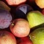 Fruit harvest