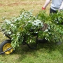 Wheelbarrow full of cuttings