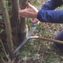 Cutting out pleach hinge