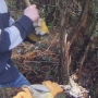 Hand axe pleaching