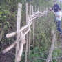 Staking & binding hedge
