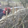 Topping stakes ii