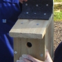 Finished nestbox