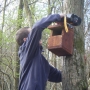 Fixing nestbox to tree