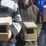 Group nestboxes completed i