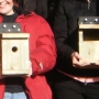 Group nestboxes completed
