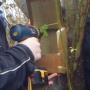 Putting up Robin box