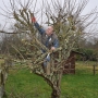 Pruning water shoots in winter