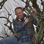 Winter pruning of dead wood & crossing branches