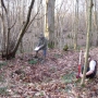 Ghyll shaw archaological surveying
