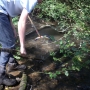 Ghyll stream surveying with pond nets