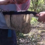 Pipette invertebrate extraction from pond net