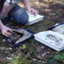 Stream invertebrate survey results