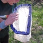 Invertebrate surveying with sweepnet
