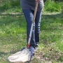 Sweepnetting meadows for invertebrates i