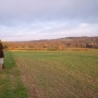 agri-environmental management of grassland