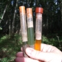 Soil pH variances within a woodland