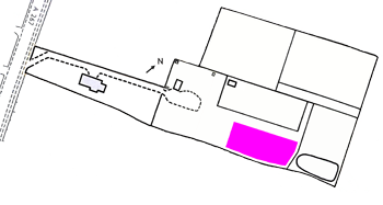 Scocus Barn - Wildflower meadow-grassland i