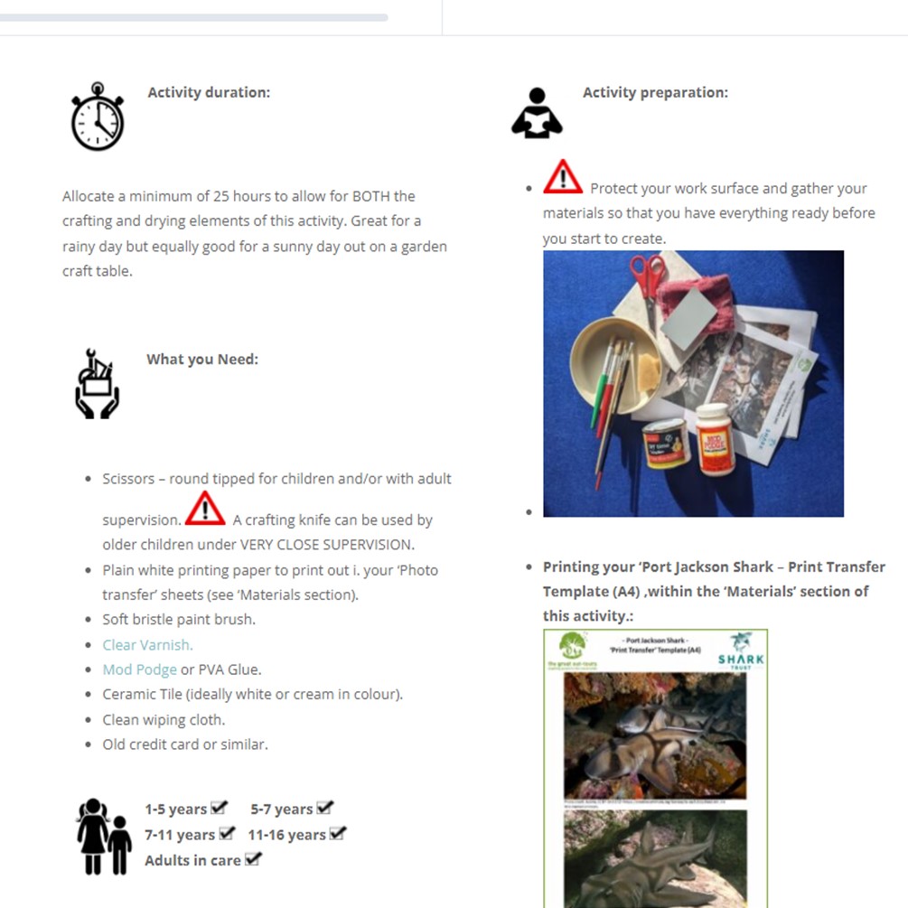 Port Jackson Shark Bundle - Image 3