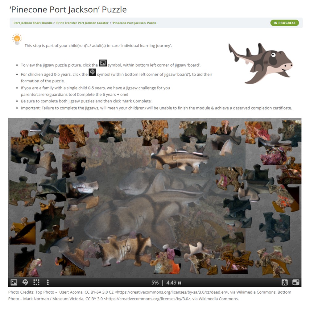 Port Jackson Shark Bundle - Image 13