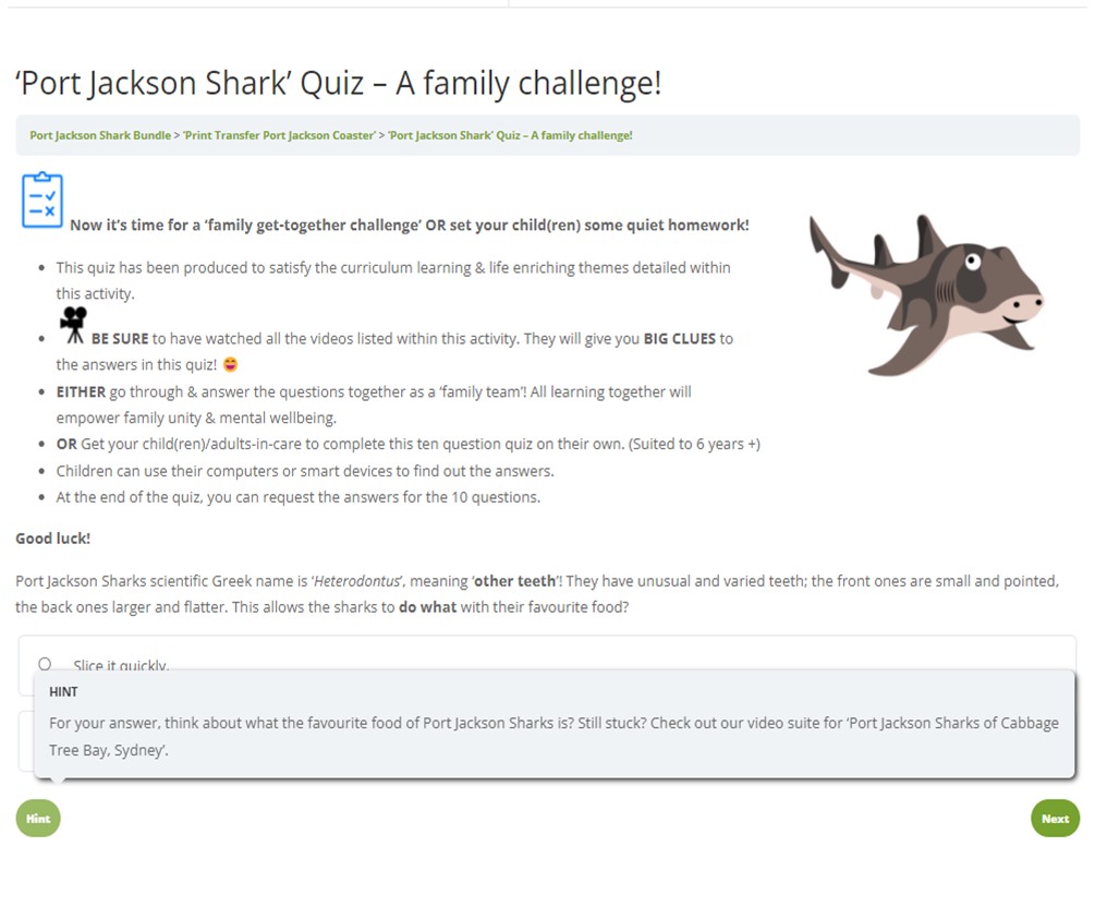 Port Jackson Shark Bundle - Image 15