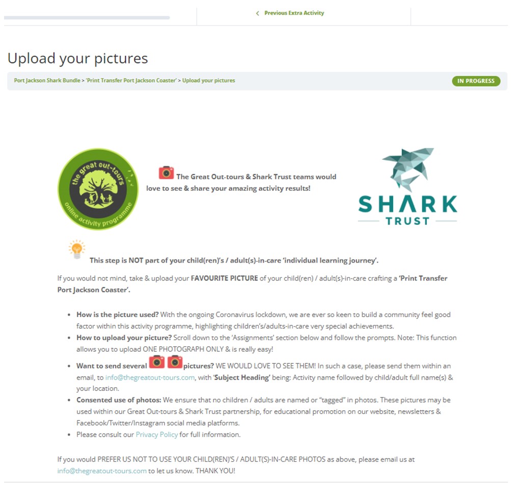 Port Jackson Shark Bundle - Image 16