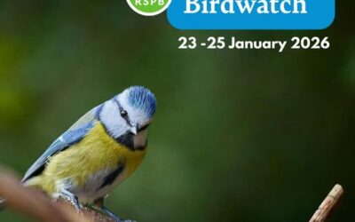 😍🪶TOGETHER LET’S MAKE IT COUNT by taking part in the RSPB’s Big Garden Birdwatch, 23 – 25 January 2026😍🪶