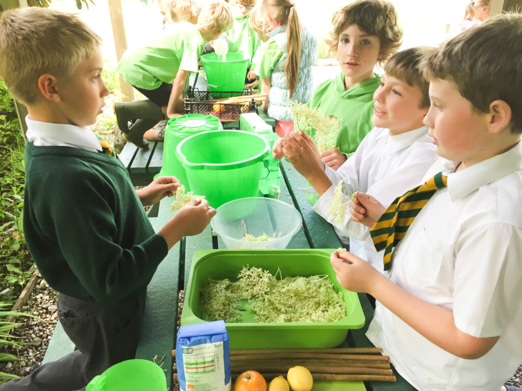 Making Elderflower Cordial at a school club i